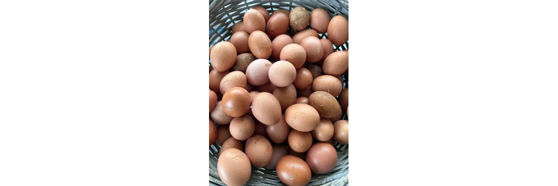 Œufs fermières