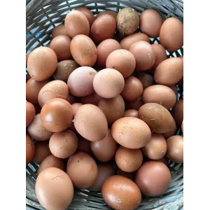 Œufs de Poules fermières